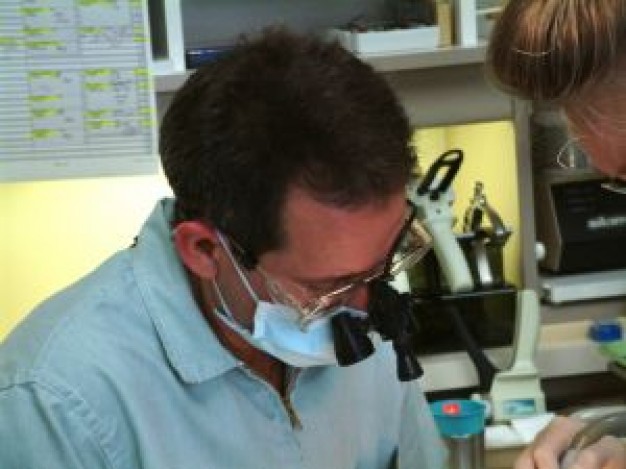 dentiste-discount